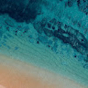 Meet your Posher, Cami